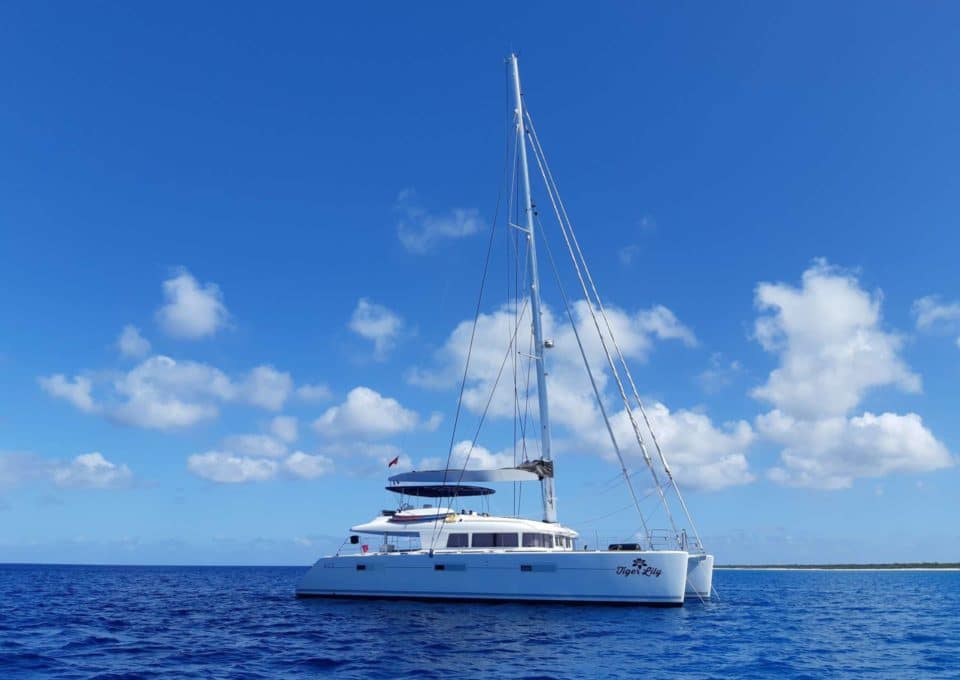 Yacht-charter-s-y-catamaran-tiger-lily